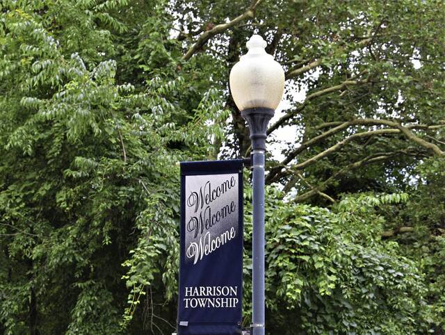 9089564_web1_WEB-Harrison-sign-B
