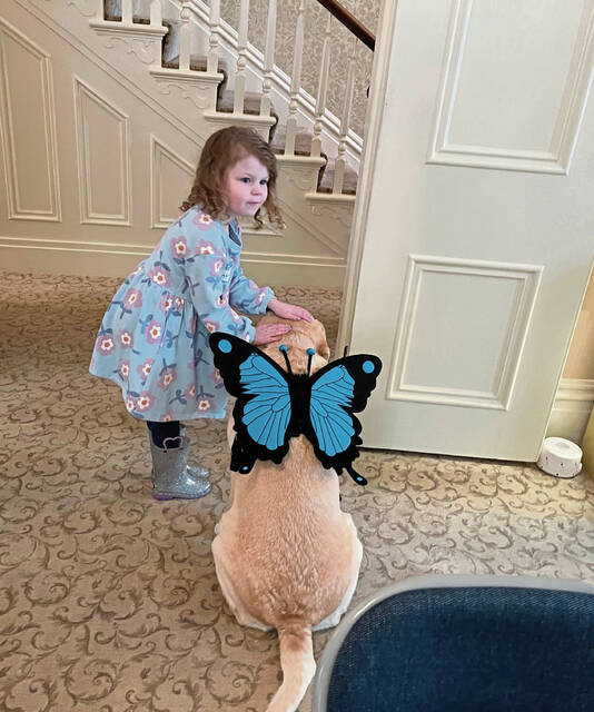 9089636_web1_IMG_6832