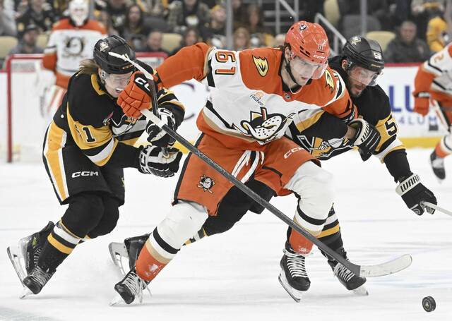 9090022_web1_ptr-PensDucks09-121025