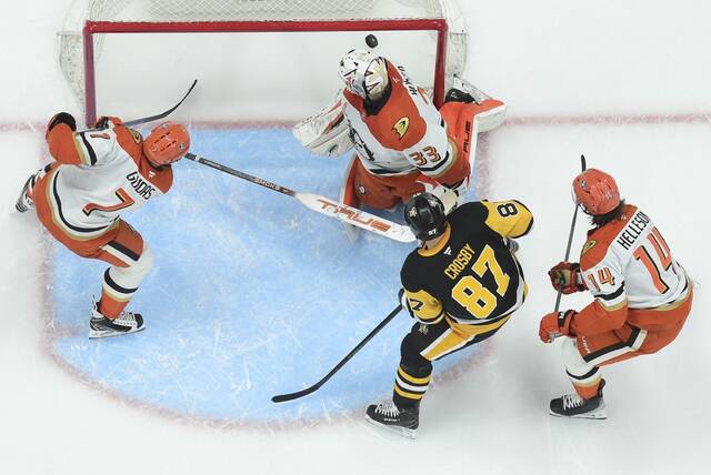 9090022_web1_ptr-PensDucks15-121025