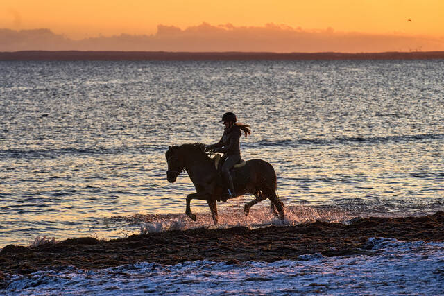 9090069_web1_ap25364424931310