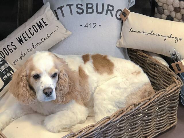 9090901_web1_her-splurge--121125-13