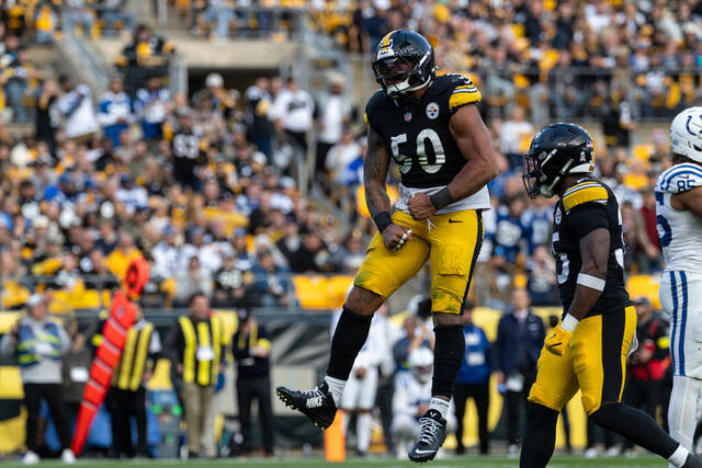 9091844_web1_AP25306796270282