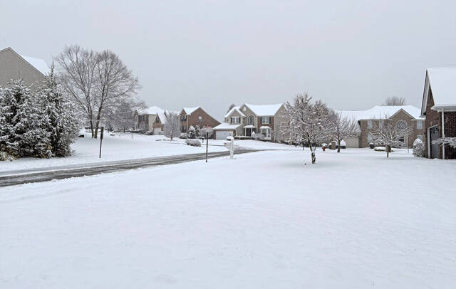 Slide 
													
													11