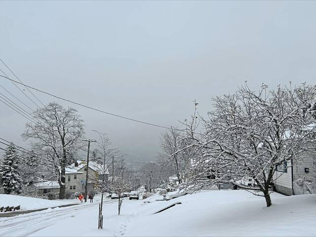 9092970_web1_PTR-Snow-Pittsburgh-Greenfield-Downtown-no-Downtown-Dec-2025