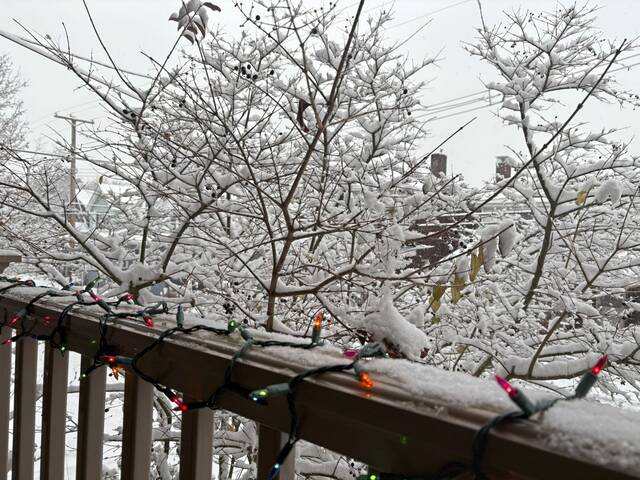 9092970_web1_ptr-SNOW-FC01-120325