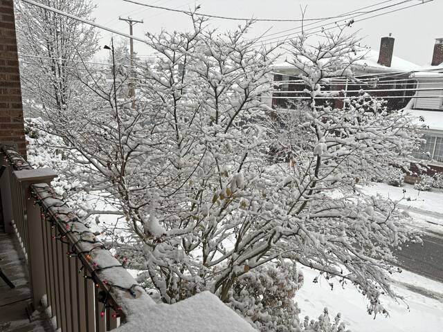 9092970_web1_ptr-SNOW-FC02-120325