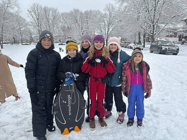 9092970_web1_ptr-sled1