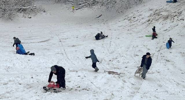 9092970_web1_ptr-sled3