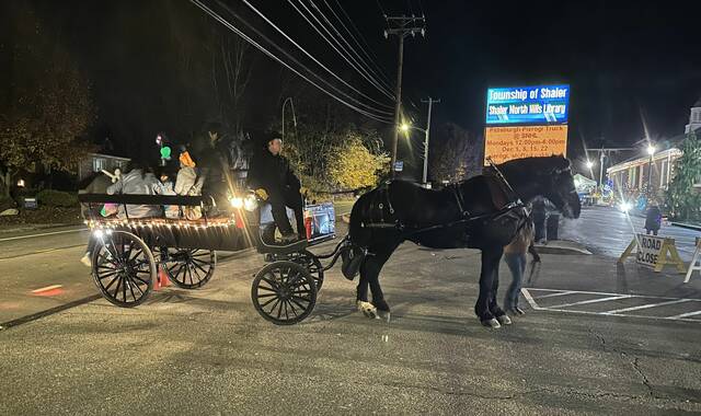 9096007_web1_sj-SparkCarriageRide-121125