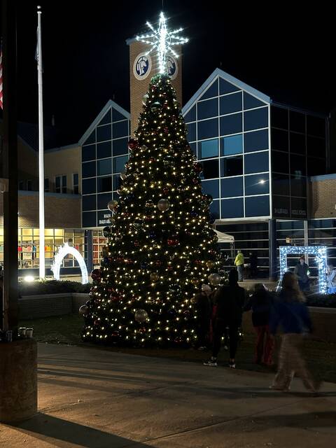 9096007_web1_sj-SparkShalerTree-121125