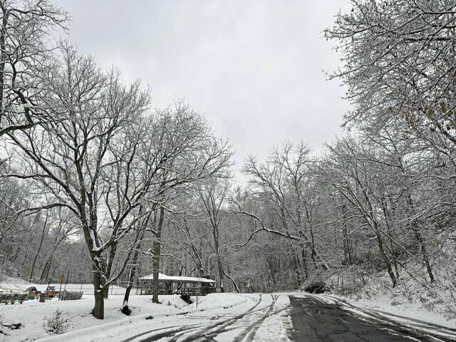 9096917_web1_sew-LO-Snow-2