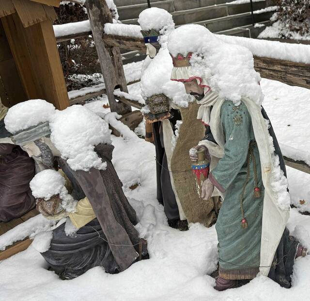 9096967_web1_sew-LO-Snow-9