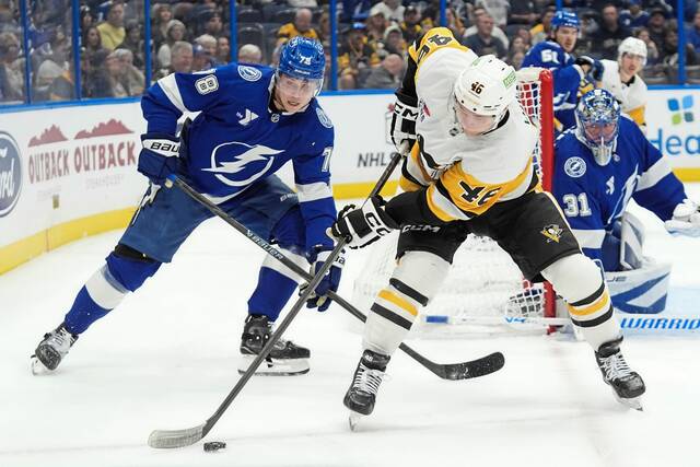 9102118_web1_AP25339034995119