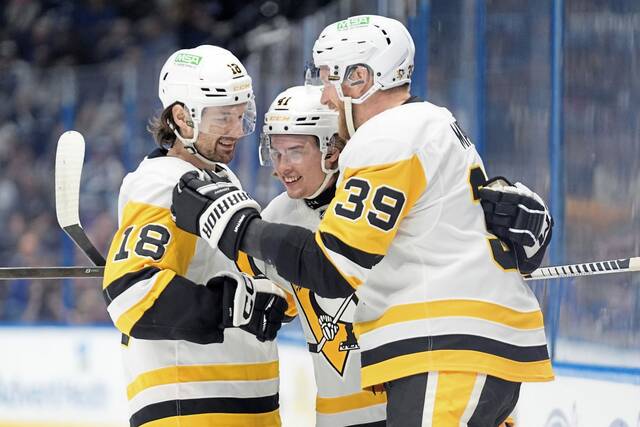 9102118_web1_AP25339035876370