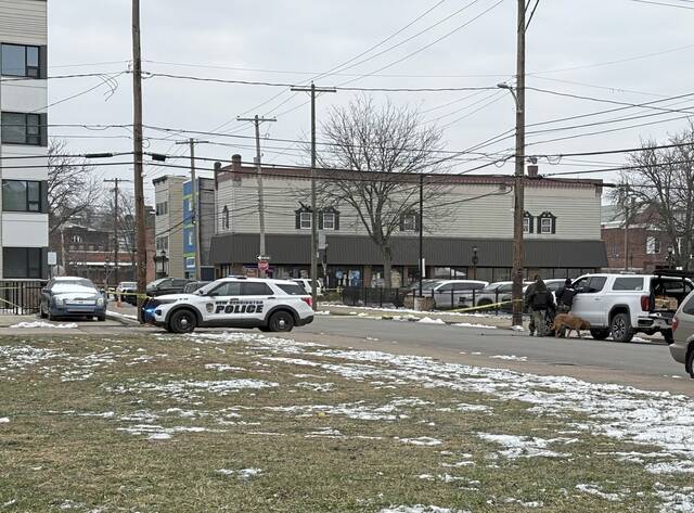 Slide 
													
													3