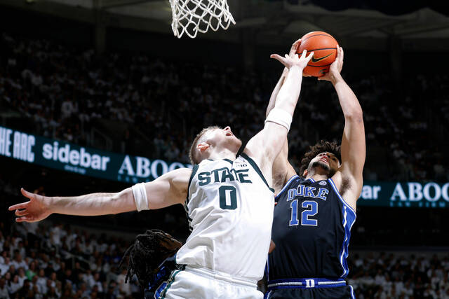 9108301_web1_9108301-bd901f93d41943d08a4561c96d99bba5