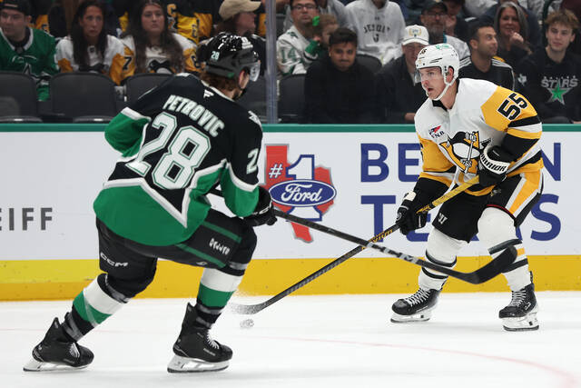 9109272_web1_9109272-adcfb1317de7492480e9d67cdae19b3c