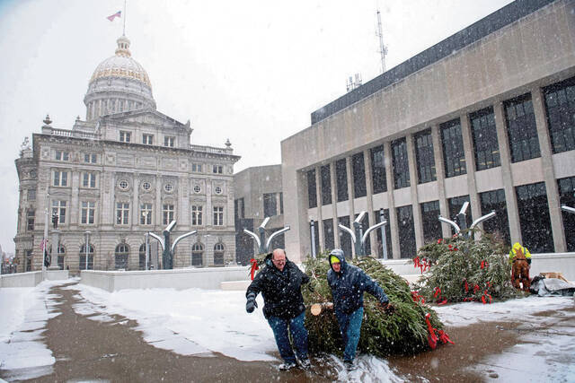 Where to recycle your live tree in Westmoreland County