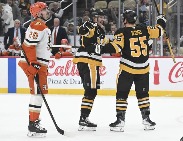 9114383_web1_ptr-PensDucks02-121025