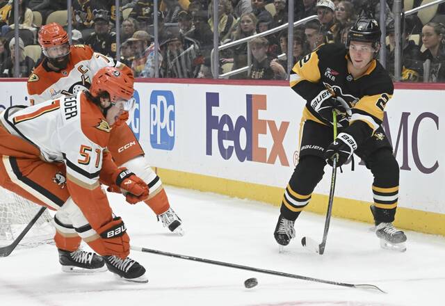 9114383_web1_ptr-PensDucks04-121025