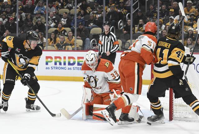 9114383_web1_ptr-PensDucks05-121025