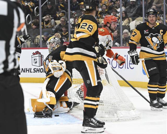 9114383_web1_ptr-PensDucks06-121025