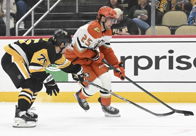 9114383_web1_ptr-PensDucks08-121025