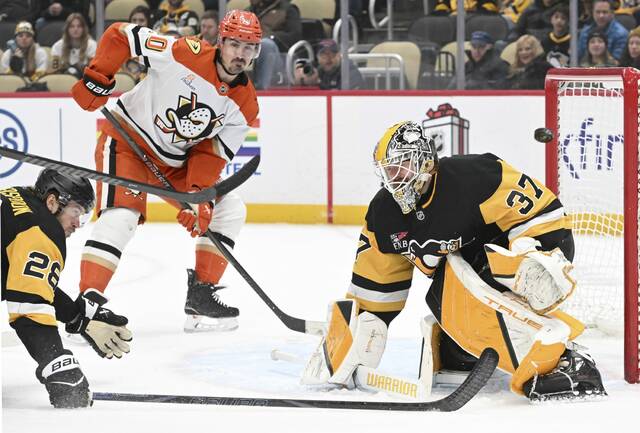 9114383_web1_ptr-PensDucks10-121025