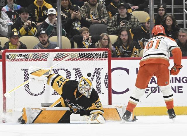 Slide 
													
													13