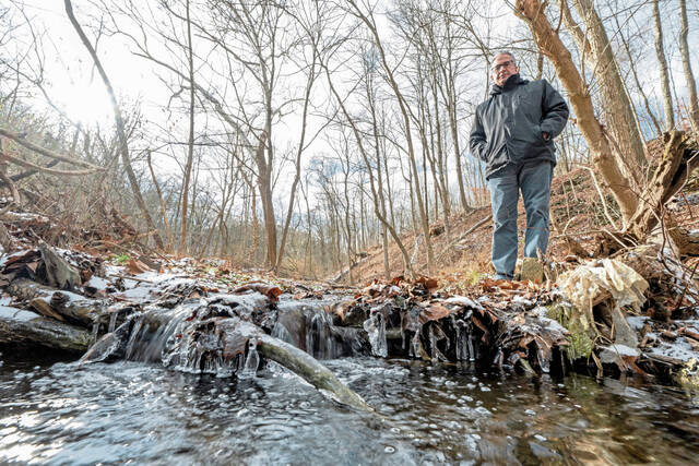 9114403_web1_gtr-NHBlendsRun101-121525