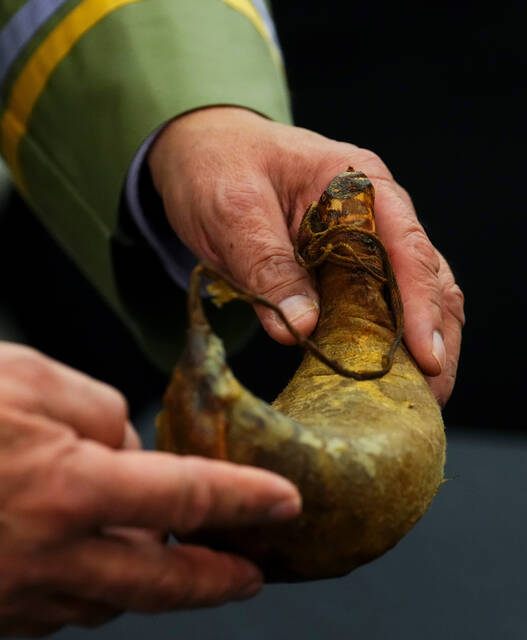 9114879_web1_9114879-b6d6ef269ef646738af580a4c4da1c8b