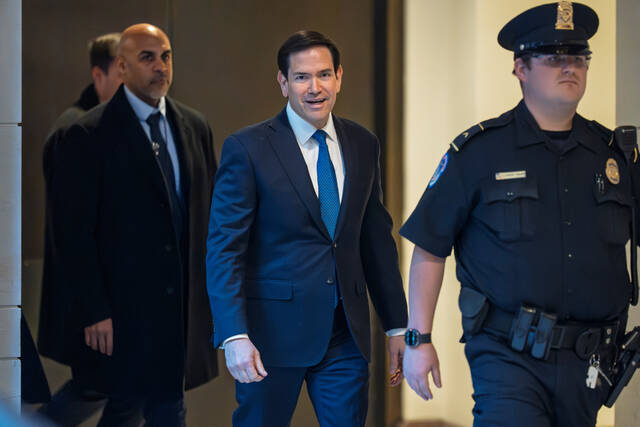 9116213_web1_9116213-730765a31ff84133a5778f6bf44c813b