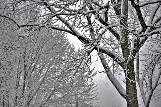 9116697_web1_WEB-winter-snow-A