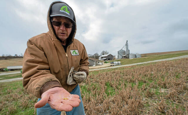 Local farmers skeptical about impact of 'bridge payments' on bottom line