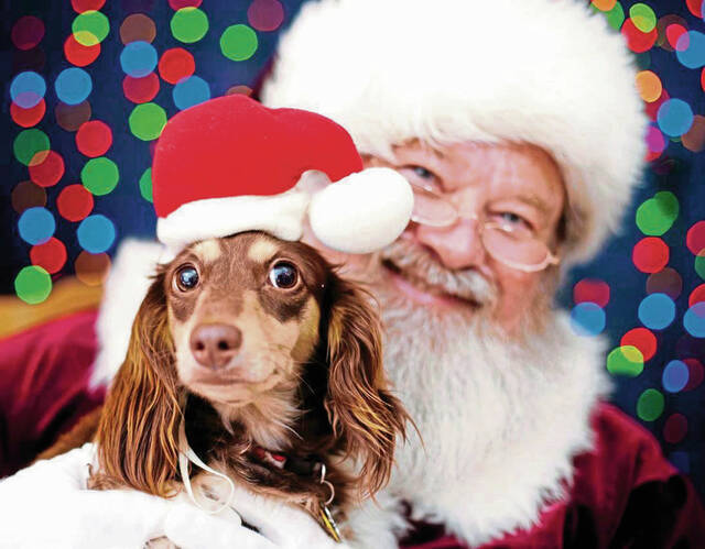 9117012_web1_Dog-Christmas