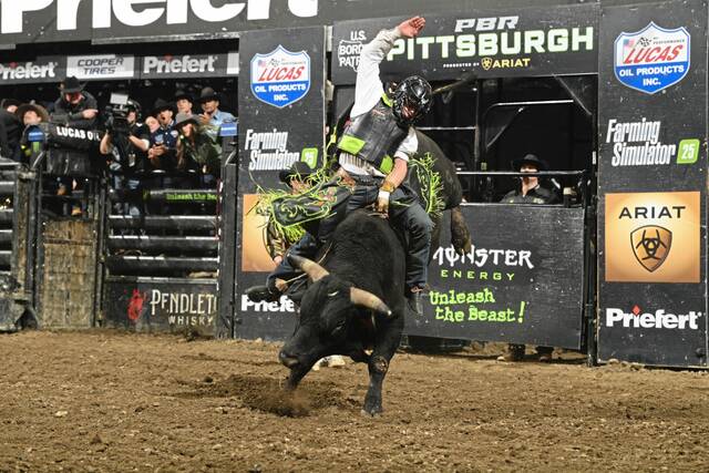 Slide 
													
													2