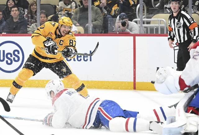 Slide 
													
													13