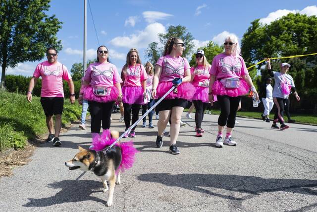 Slide 
													
													9