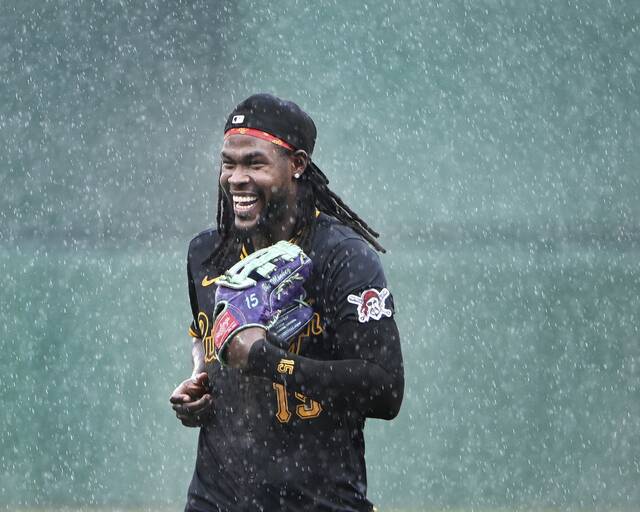 Slide 
													
													12