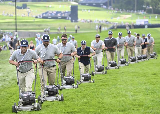 Slide 
													
													19