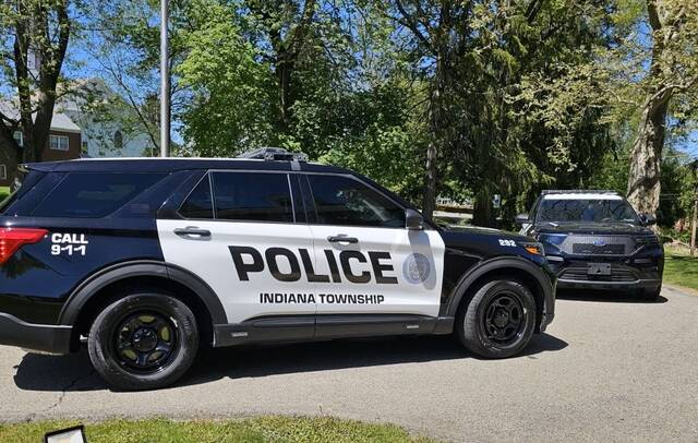 9120947_web1_vnd-indipolice-050424