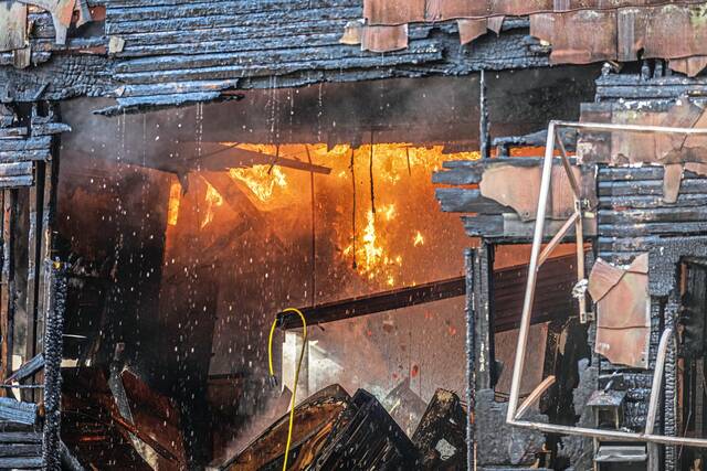 Slide 
													
													3