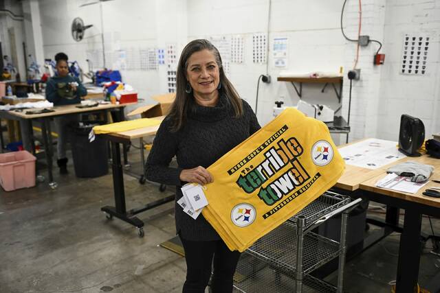 9124163_web1_gtr-terribletowel001-121325