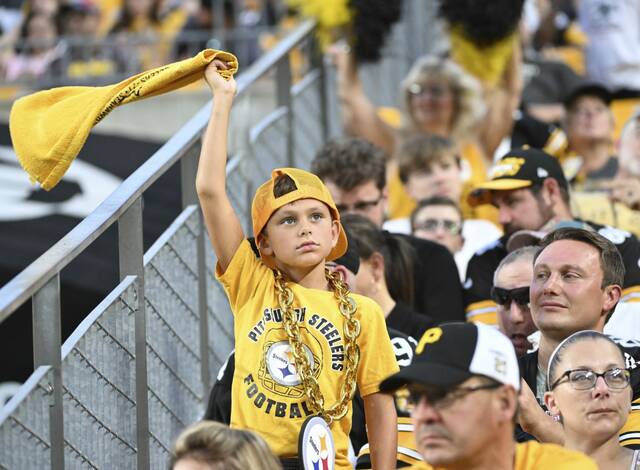 Slide 
													
													11