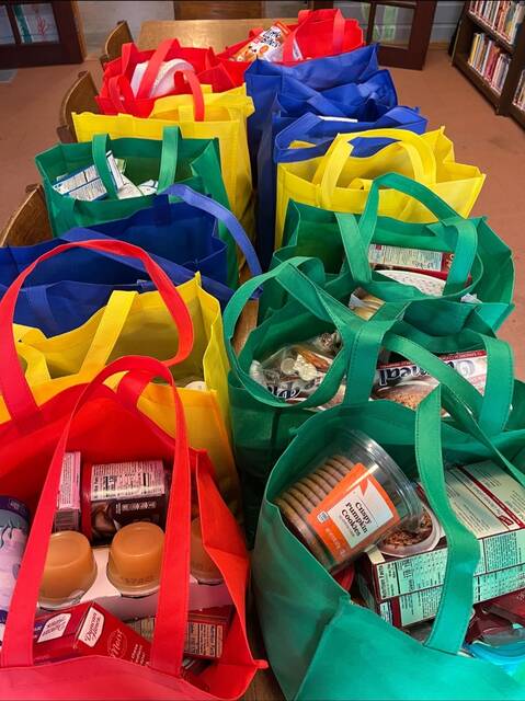 9124328_web1_naj-NAfooddrivebags-012226