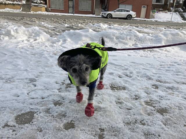 9130228_web1_ptr-SnowyStreets3-121625