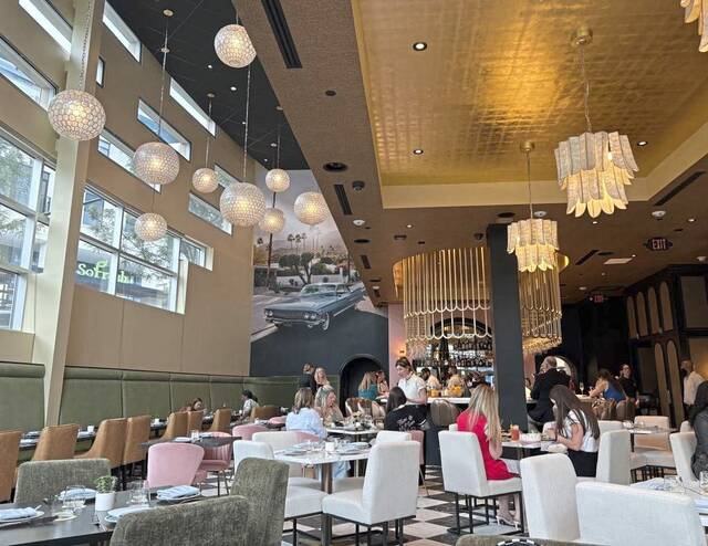 9134746_web1_ptr-palmpalm-7