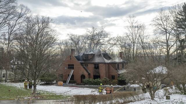 9138578_web1_VND-FoxFire100-121925