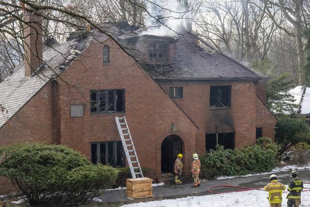 9138578_web1_VND-FoxFire102-121925